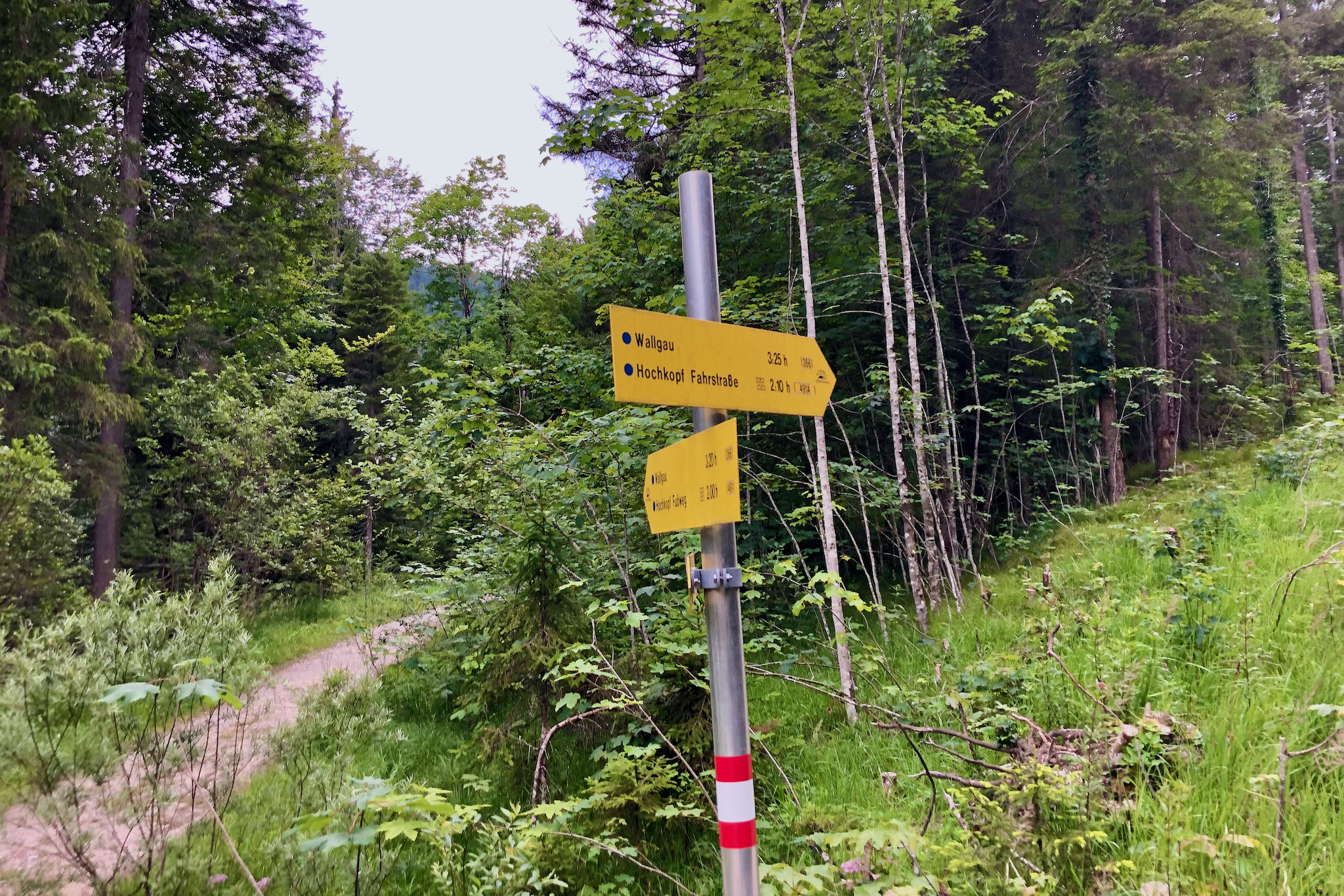 Alternativen Links oder rechts © Gipfelfieber